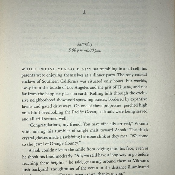 A Great Country by Shilpi Somaya Gowda - Picture 8 of 14